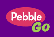 pebblego logo